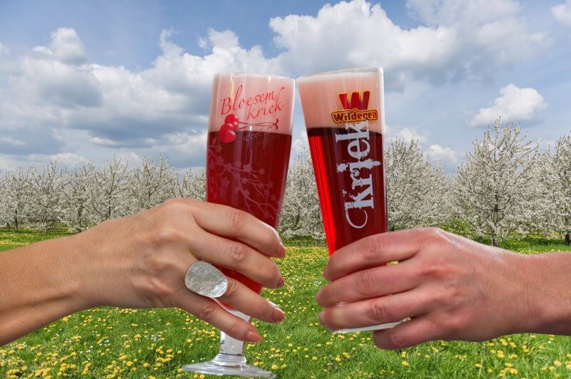 bloesemkriek